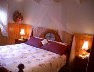 Alfay Cottage - Accommodation Sunshine Coast 1