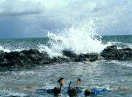 Bargara Beach Motor Inn - Accommodation Sunshine Coast 0