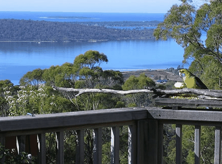Bed In The Treetops - Accommodation Sunshine Coast 0