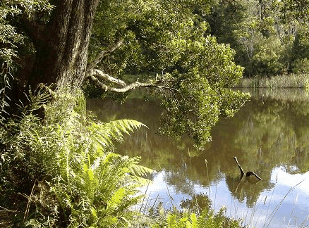 Telita TAS Accommodation Sunshine Coast