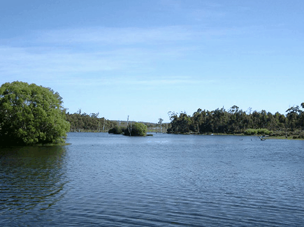 Currawong Lakes - Accommodation Sunshine Coast