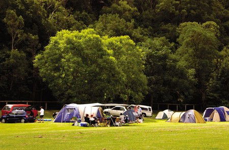 Del Rio Riverside Resort - Accommodation Sunshine Coast 4