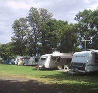Waioma Caravan Park - Accommodation Sunshine Coast