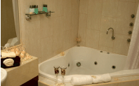 Club Motor Inn - Accommodation Sunshine Coast 1