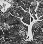 Tacit Contemporary Art - Accommodation Sunshine Coast 0