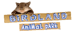 Birdland Animal Park - Accommodation Sunshine Coast
