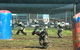 We Are Paintball - thumb 2