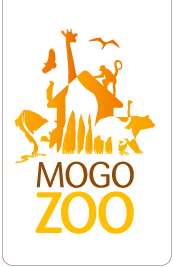 Mogo Zoo - Accommodation Sunshine Coast