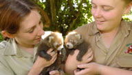 Mogo Zoo - Accommodation Sunshine Coast 3