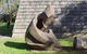 Tiagarra Aboriginal Culture Centre And Museum - thumb 1