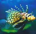Underwater World - Accommodation Sunshine Coast
