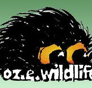 OZe Wildlife - Accommodation Sunshine Coast