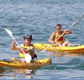 Manly Kayaks - Accommodation Sunshine Coast