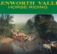 Glenworth Valley Horseriding - Accommodation Sunshine Coast