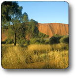 Uluru - Kata Tjuta National Park - Accommodation Sunshine Coast 0