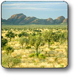 Uluru - Kata Tjuta National Park - Accommodation Sunshine Coast 2