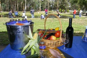Buxton Trout And Salmon Farm - Accommodation Sunshine Coast 2