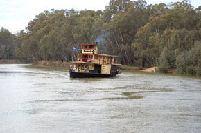 Emmylou Paddle Steamer - Accommodation Sunshine Coast 1