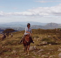High Country Horses - Accommodation Sunshine Coast