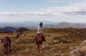 High Country Horses - Accommodation Sunshine Coast 0