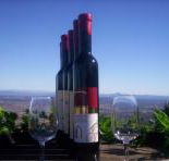 Mount Tamborine Winery  Homestead - Accommodation Sunshine Coast