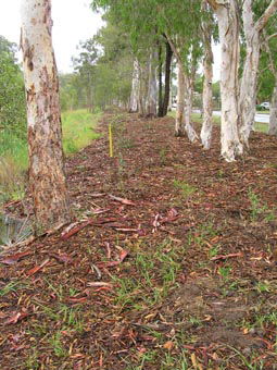 Kumbartcho Sanctuary - Accommodation Sunshine Coast 1