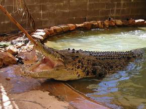 Oombulgurri WA Accommodation Sunshine Coast