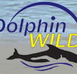 Dolphin Wild - Accommodation Sunshine Coast