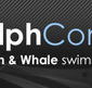 Dolphcom - Dolphin  Whale Swimming Adventures - Accommodation Sunshine Coast