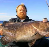 Bravo Fishing Charters - Accommodation Sunshine Coast
