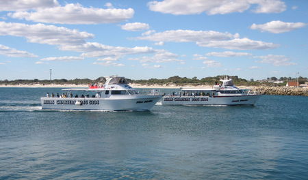 Mills Charters Fishing And Whale Watch Cruises - Accommodation Sunshine Coast 2