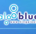 Ningaloo Blue Dive - Accommodation Sunshine Coast