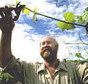 Barossa Experience Tours - Accommodation Sunshine Coast