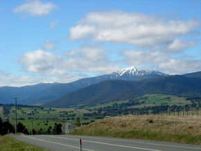 Buller View Wines - Accommodation Sunshine Coast 2