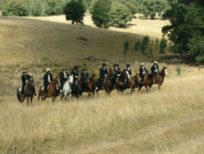 McCormacks Mountain Valley Trail Rides - Accommodation Sunshine Coast