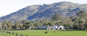 Blue Gum Farm - Accommodation Sunshine Coast 1