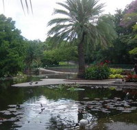 Brisbane City Botanic Gardens - Accommodation Sunshine Coast