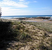 Deepwater National Park - Accommodation Sunshine Coast