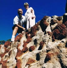 Mystery Craters - Accommodation Sunshine Coast 2