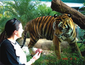 Crocodylus Park - Accommodation Sunshine Coast 1
