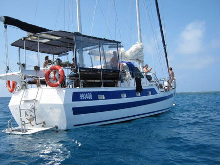Coral Sea Dreaming Dive And Sail - Accommodation Sunshine Coast 3