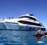 Silver Swift - Accommodation Sunshine Coast