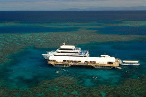 Sunlover Reef Cruises - Accommodation Sunshine Coast 2