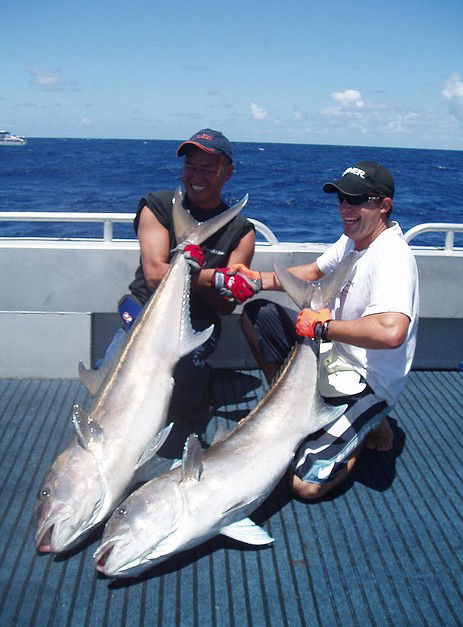 Blue Juice Charters - Accommodation Sunshine Coast 0