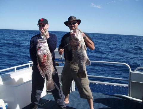 Blue Juice Charters - Accommodation Sunshine Coast 2