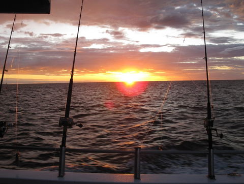 Blue Juice Charters - Accommodation Sunshine Coast 5