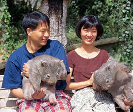 Birdland Animal Park - Accommodation Sunshine Coast 5