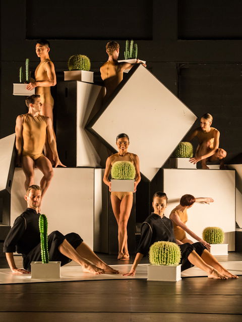 Sydney Dance Company - Accommodation Sunshine Coast 3