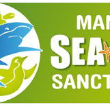 Manly SEA LIFE Sanctuary - Accommodation Sunshine Coast