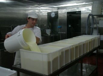 Witches Chase Cheese Co - Accommodation Sunshine Coast 1